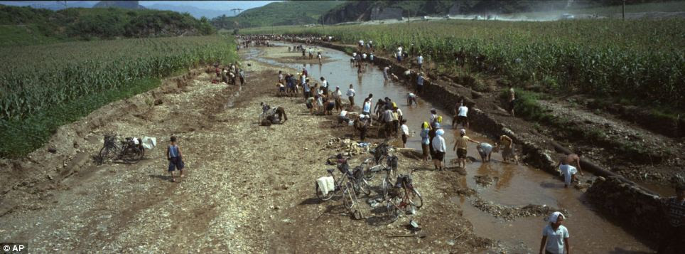 Rebuilding life: North Koreans try to rebuild the banks of a washed out riverbed near their corn fields which were damaged by July flooding, in Songchon County