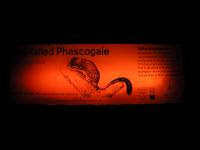 Free Image Hosting at www.ImageShack.us