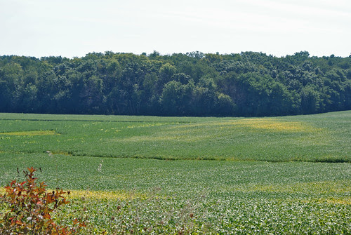DSC00347_2