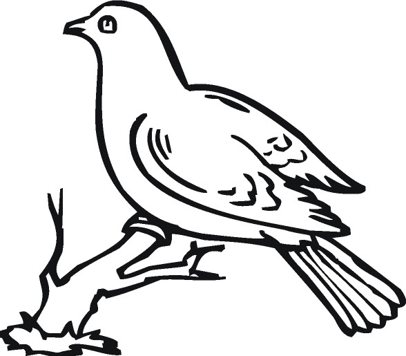 Png Clipart Dove Tree Black White Clip Art