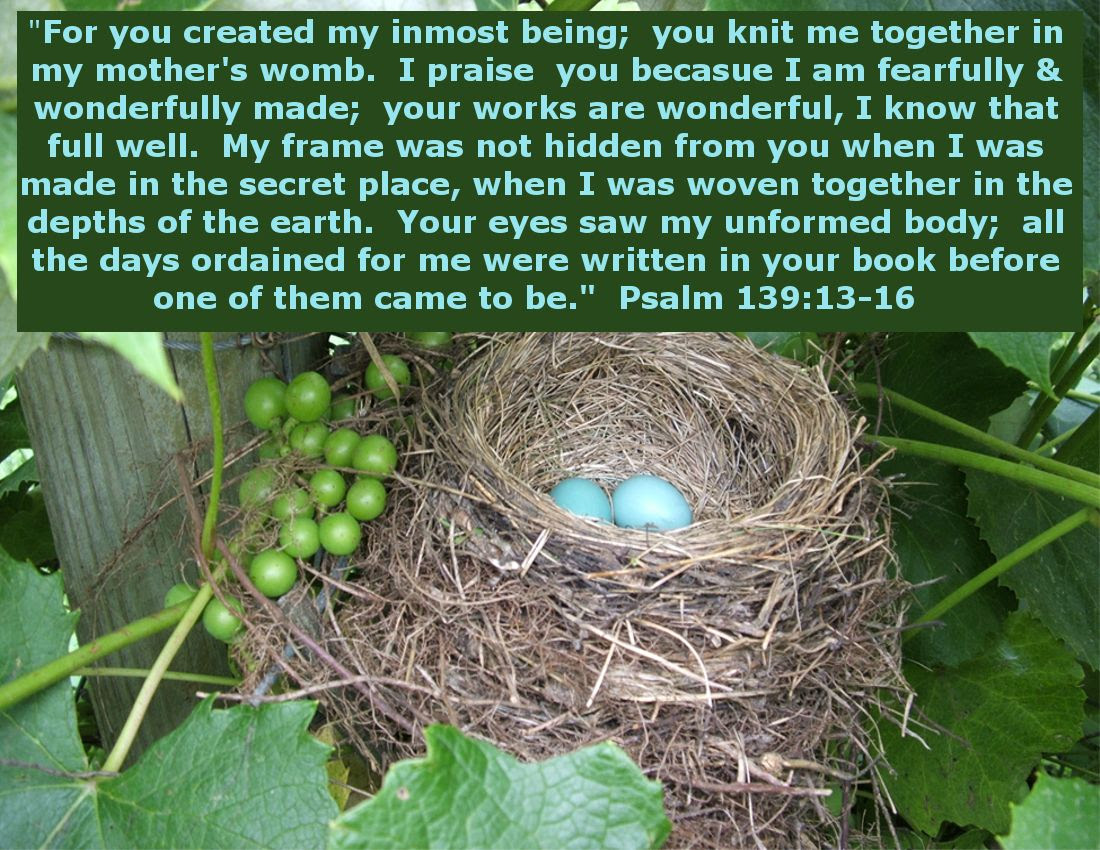 by Angie Ouellette-Tower for http://www.godsgrowinggarden.com/ photo SundayWomb_zpsurpd0d8h.jpg