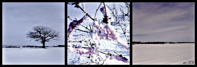 Snow Girl