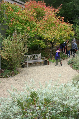 seating area with vine maple