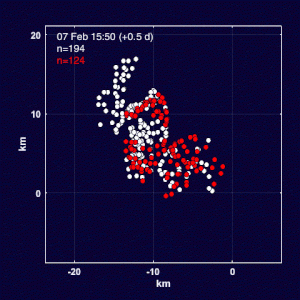 A group of 326 drifters were initially dropped in February 2016 in a grid pattern in the Gulf of Mexico. The white dots in the video disperse, but the red dots clump together in an area about the size of a football field.