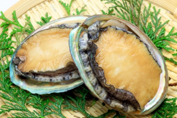 ormeaux pour chinois