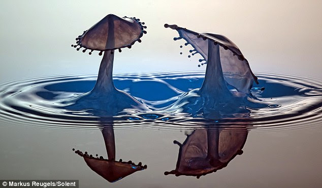 On reflection: This work - titled Double Milk Splash - resembles two toadstools