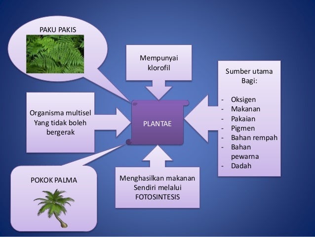 Biologi Bab 6 Tingkatan 4  Soalan Objektif Biologi Tingkatan 4 Bab 2