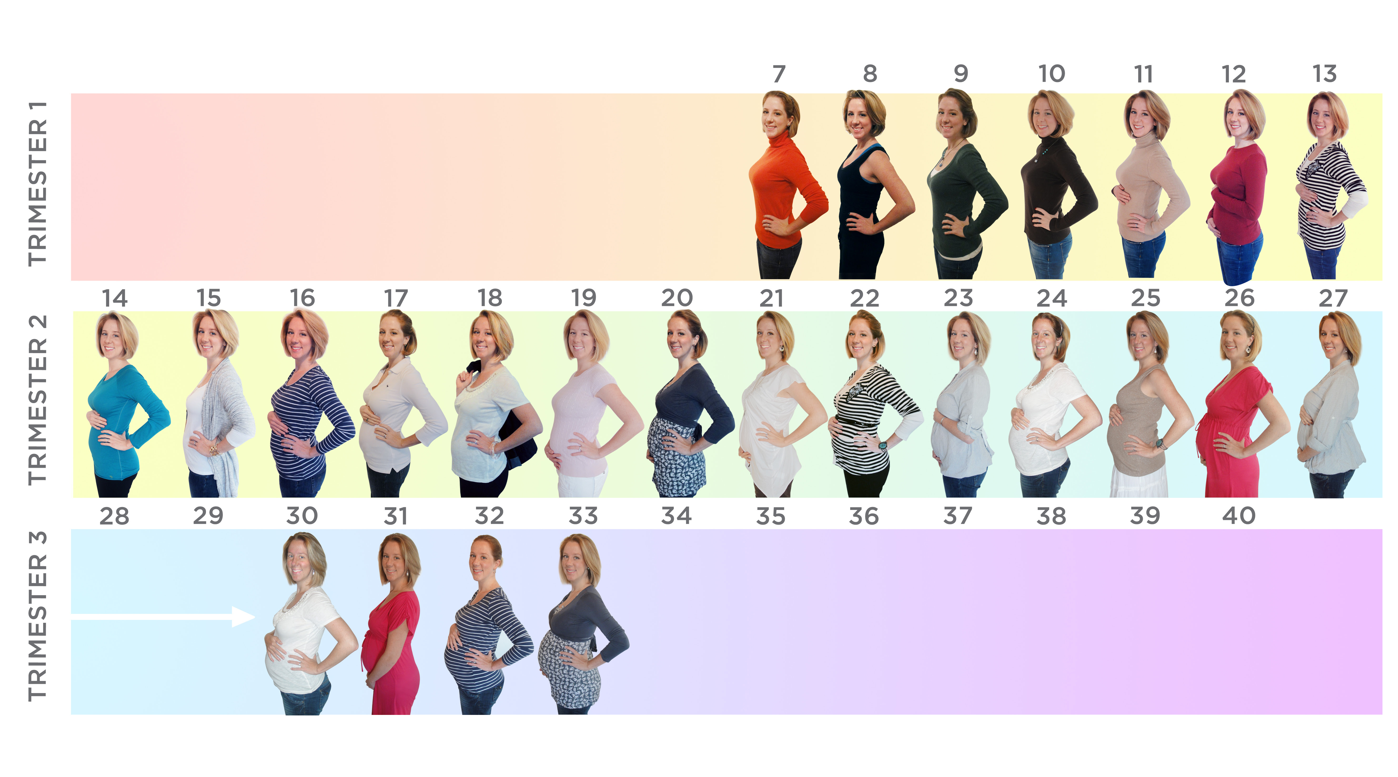 Measurements Of Belly Chart