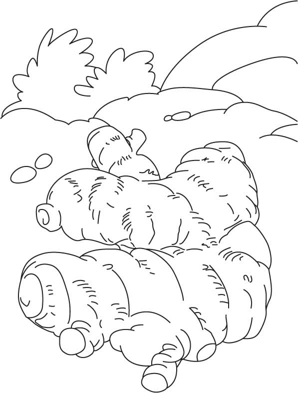 17+ Important Ideas Ginger Cat Coloring Pages