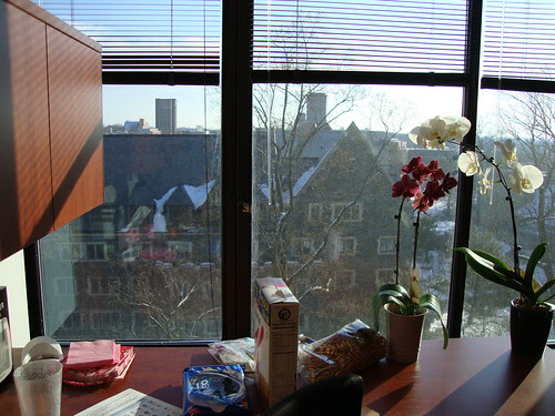 Looking onto campus