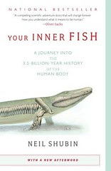 inner fish