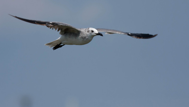 Photo & Video Sharing by SmugMug Photo & Video Sharing by SmugMug