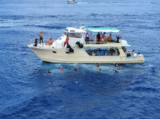 s-DSCN1385.jpg