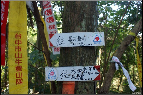 DSC03886