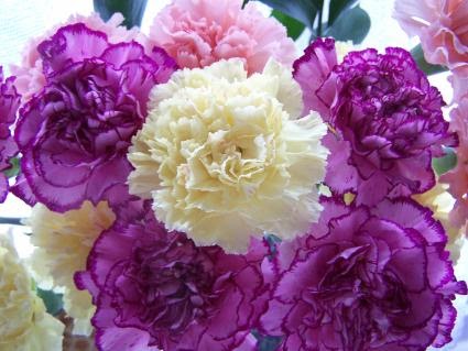 Online Flower Shop: Flowers Bouquet Delivery