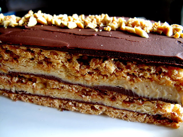 Frozen Chocolate Peanut Dacquoise