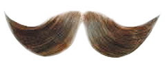 Mustache