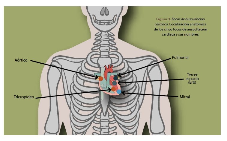 Cual es la frecuencia cardiaca maxima de una persona