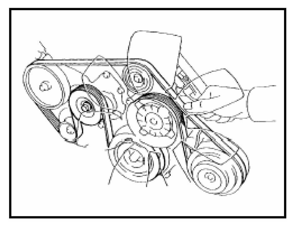 2006 Toyota Corolla Serpentine Belt ~ Best Toyota