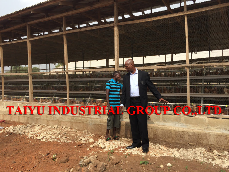 Modern Poultry House Design In Kenya