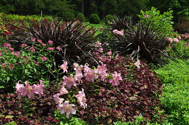 Flower Garden Walk (1)