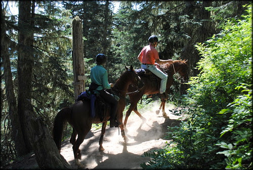 Horseback Riders on Paradise Park Loop trail - Mt. Hood