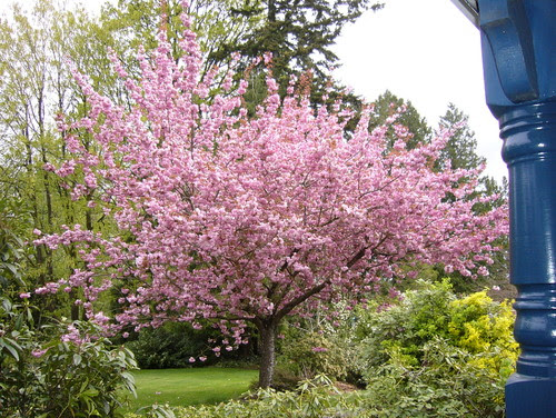 Frenchflair traditional landscape