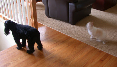 Waiting for mom
