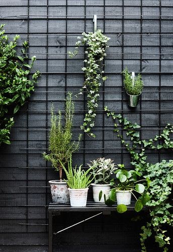 Vertical Garden Grid Planter - Mbi Garden Plant