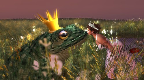 frog again