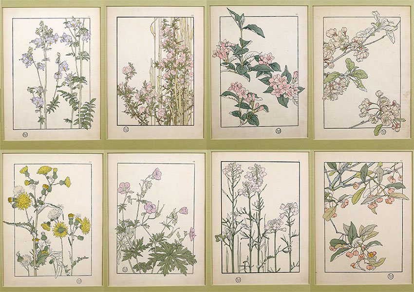 Art Nouveau Flowers And Plants Blog Art Zone