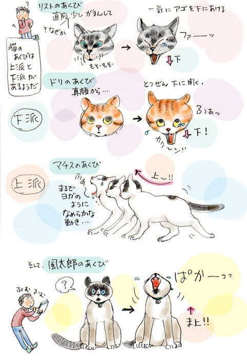 かわいいディズニー画像 ベスト50 猫 あくび イラスト