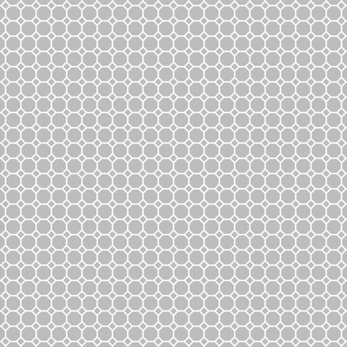 20-cool_grey_light_NEUTRAL_medium_octagon_solid_12_and_a_half_inch_SQ_350dpi_melstampz