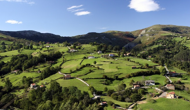 Cantabria tiene un tremendo potencial de biomasa