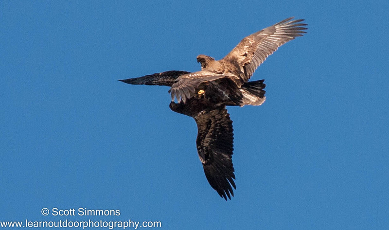 Photo & Video Sharing by SmugMug Photo & Video Sharing by SmugMug