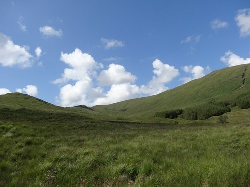 Green Hills of Mull