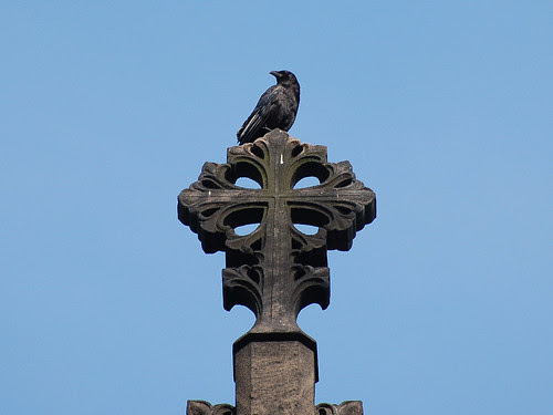 Cathedral Crow