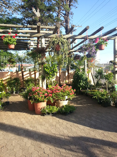 Floricultura Garten Meyer - Porto Alegre
