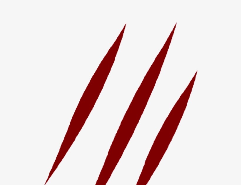 bandage