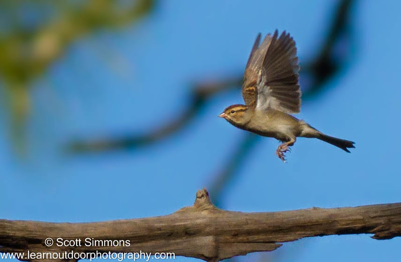 Photo & Video Sharing by SmugMug Photo & Video Sharing by SmugMug