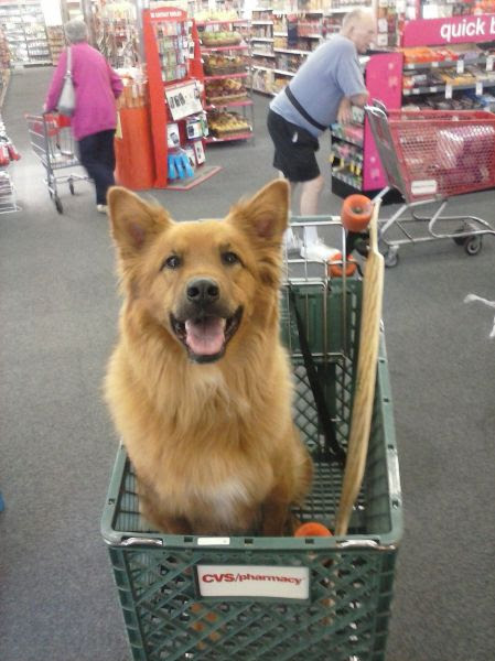 Funny Pictures (128 photos) Funny Pictures (128 photos)