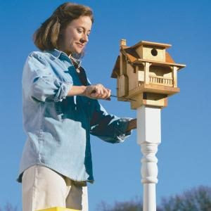 Build a Backyard Birdhouse