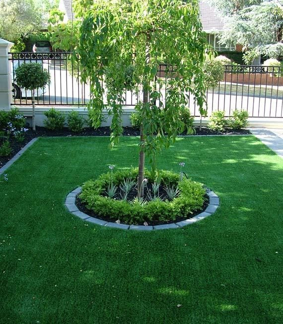 Garden Front Yard Tree Garden Front Yard Tree