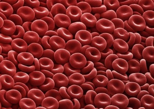 blood