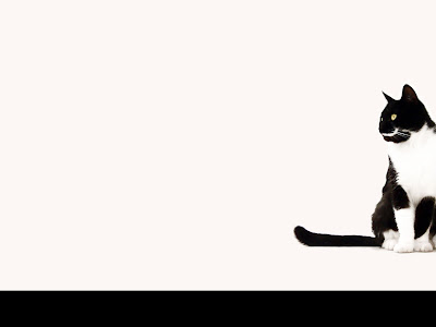 ディズニー画像ランド シンプル 猫 壁紙 Iphone