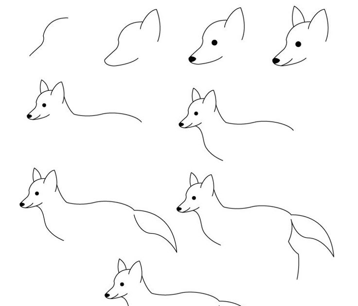 Dessin Renard Facile Etape Par Etape Dessin Renard Facile Etape Par Etape - Communauté MCMS