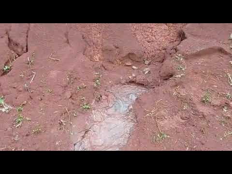 Excesso de chuvas em Roncador neste mês de janeiro faz brotar minas de água em locais improváveis