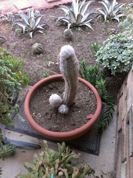 Daily Picdump Daily Picdump