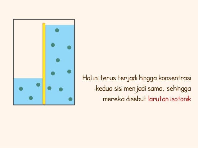 Contoh Difusi Osmosis Dan Transport Aktif - Cara Ku Mu