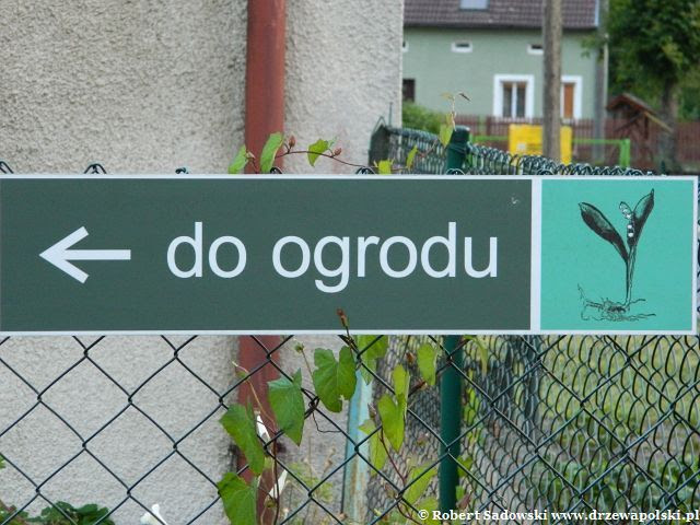 Ogród - herbarium przy Szpitalu Św. Ducha, Frombork Ogród - herbarium przy Szpitalu Św. Ducha we Fromborku